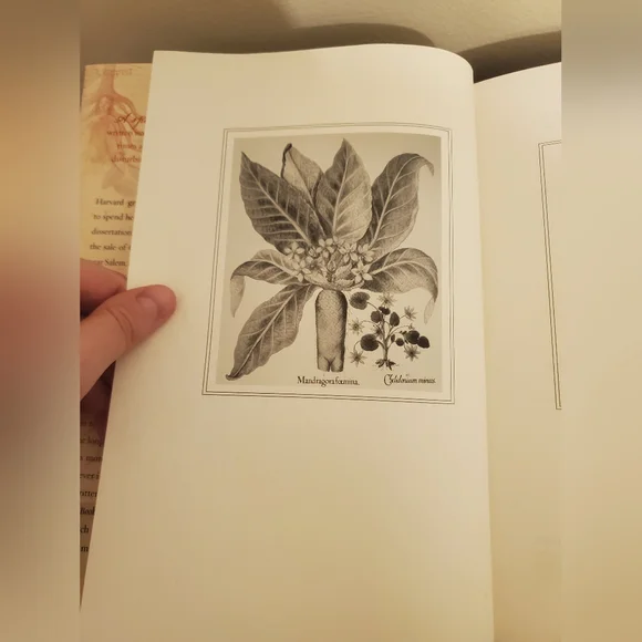 The Physick Book of Deliverance Dane By Katherine Howe Hardcover - Picture 4 of 7